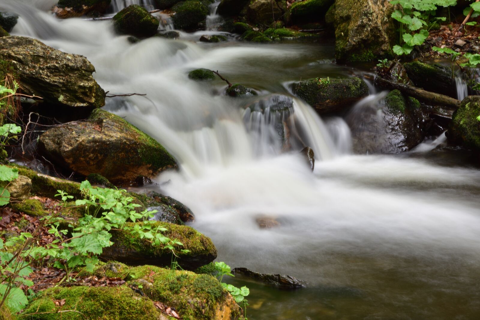 Nikon D3400 sample photo. River, white opava, spring photography