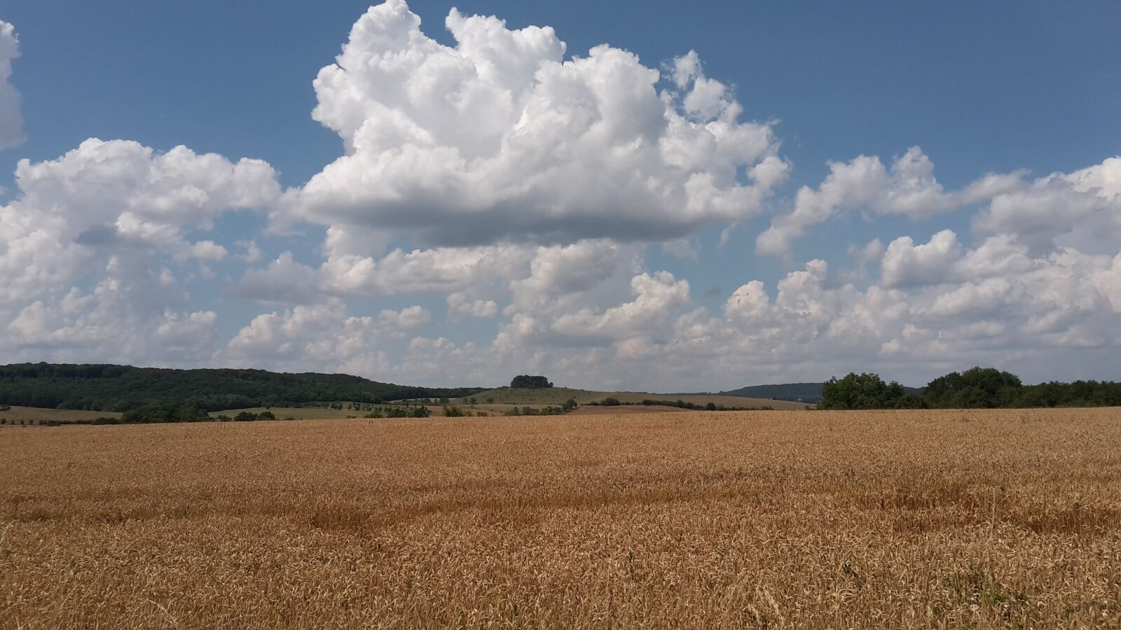 Samsung SM-G800F sample photo. Clouds, sky, cornfield photography