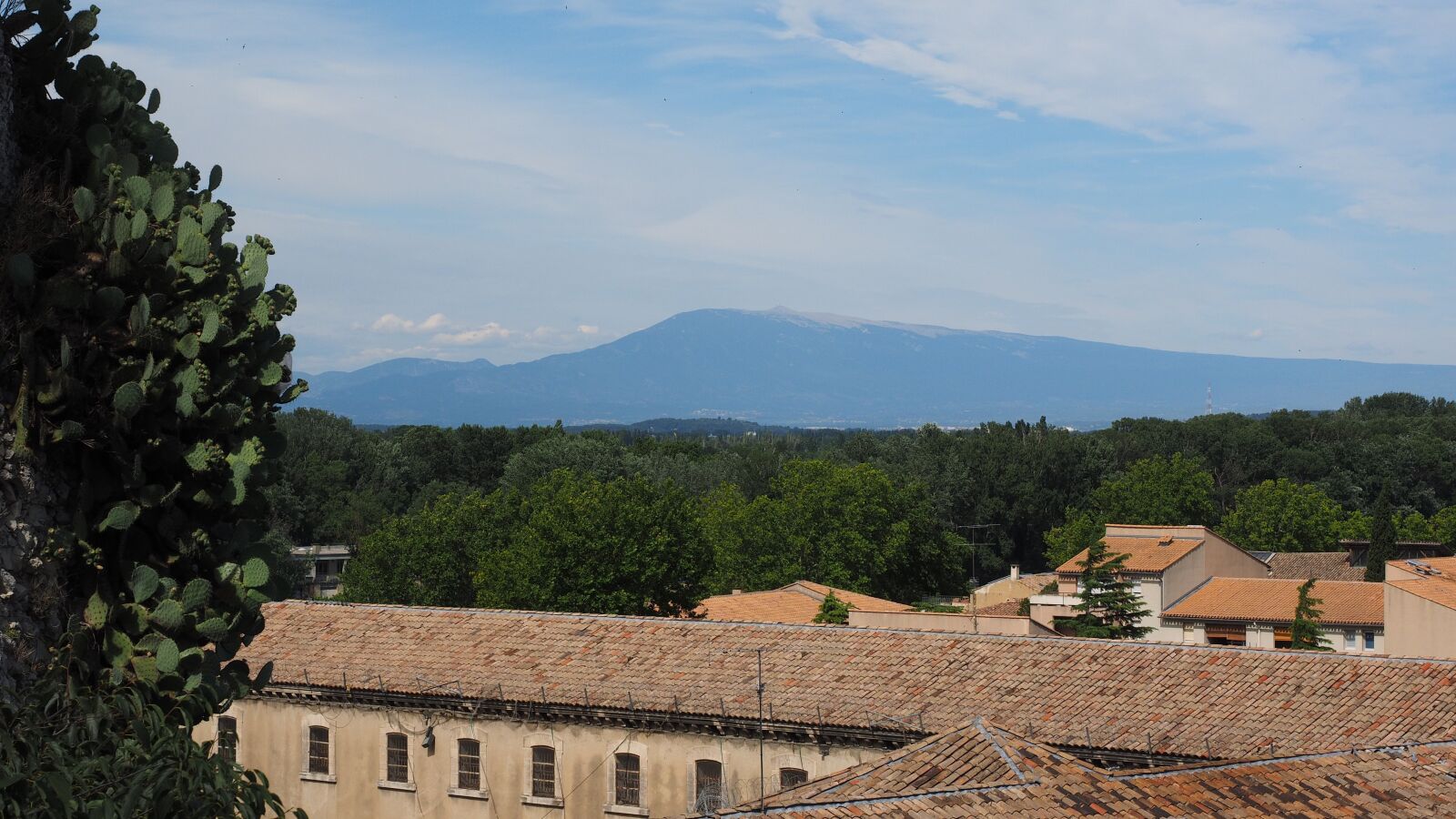 Olympus OM-D E-M1 + Olympus M.Zuiko Digital ED 12-40mm F2.8 Pro sample photo. Ventoux, mountain, provence photography