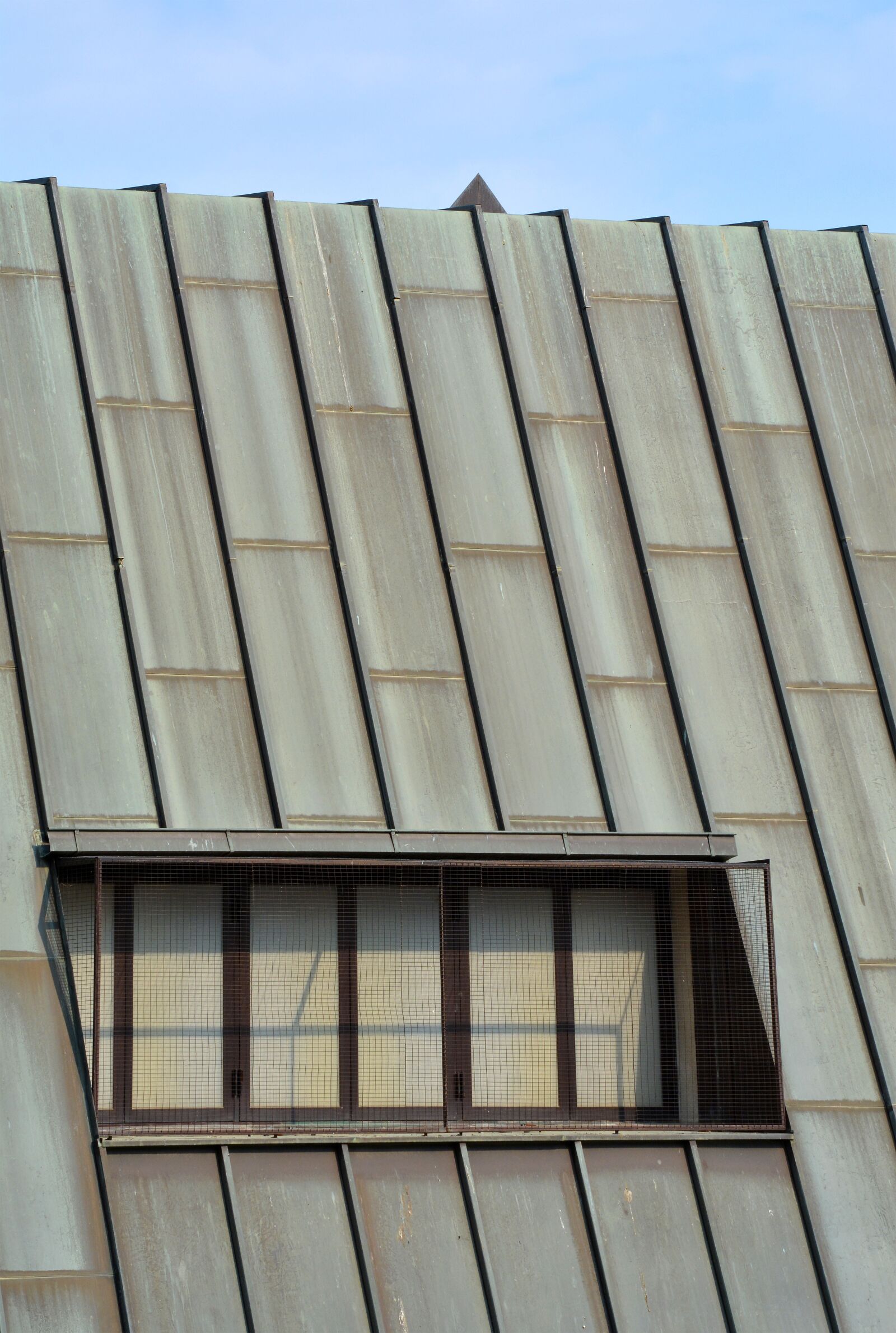Nikon D5200 sample photo. Roof, sheet metal roof photography