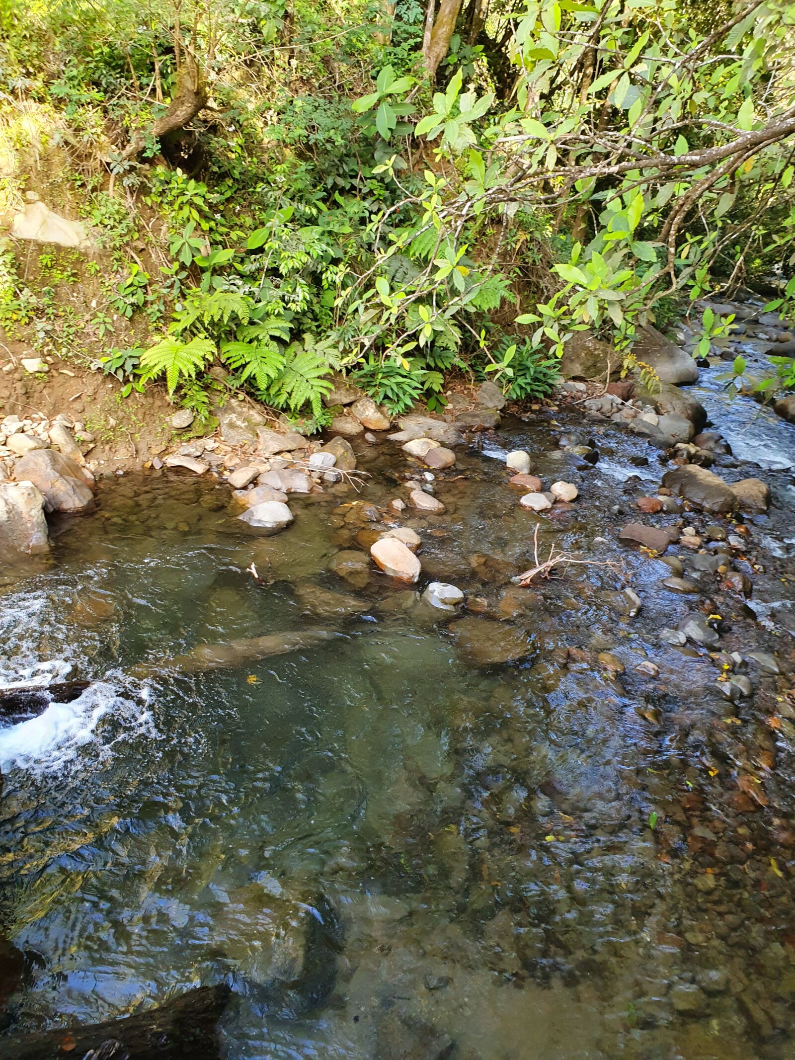 Samsung Galaxy S10 sample photo. River in palmyra, district photography