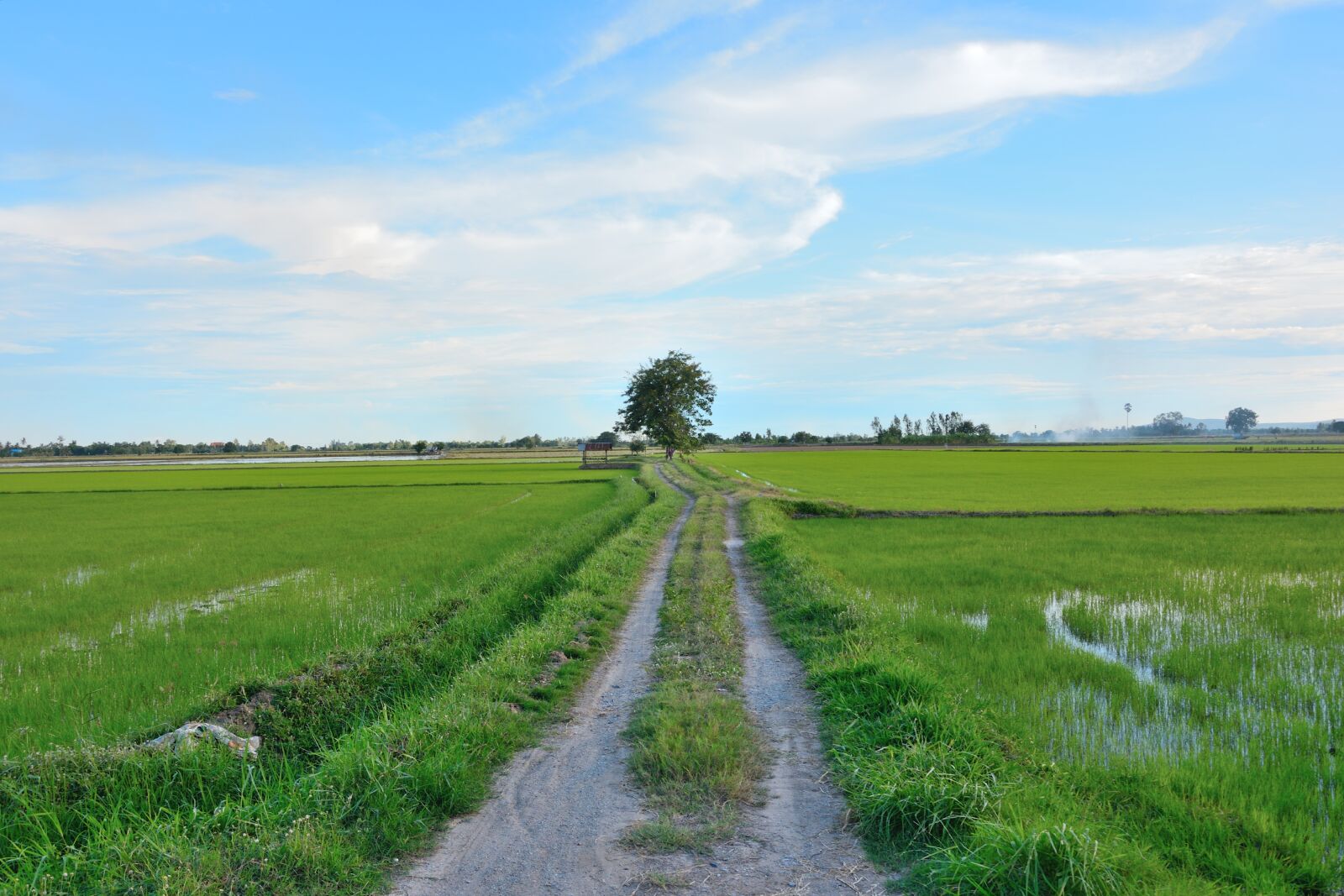 Nikon D5200 sample photo. Field, meadow, grass photography
