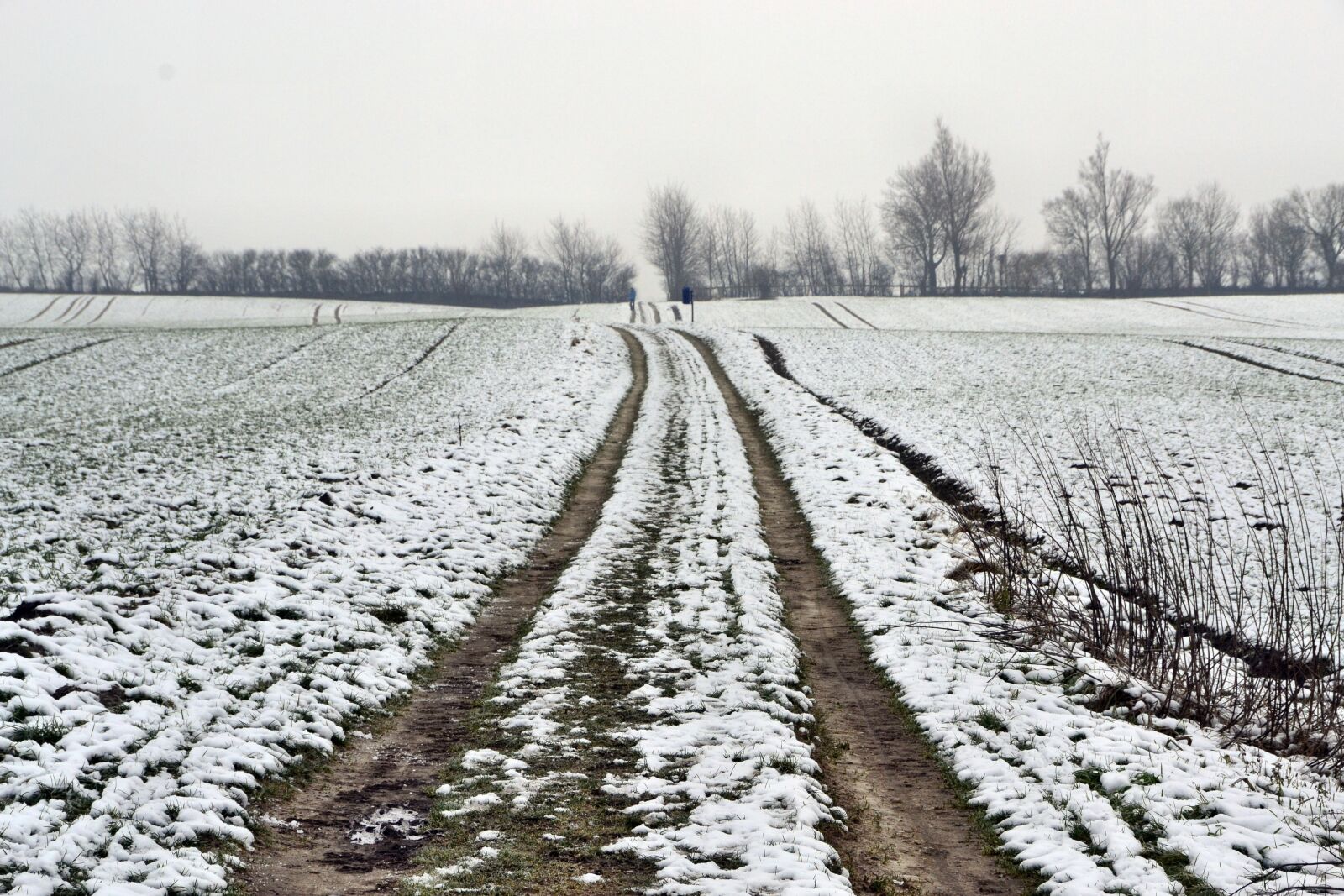 Nikon D3100 sample photo. Lane, snow, winter photography