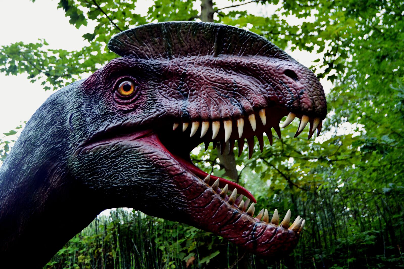 Nikon D5200 sample photo. Dinosaur, dino, dino-park photography