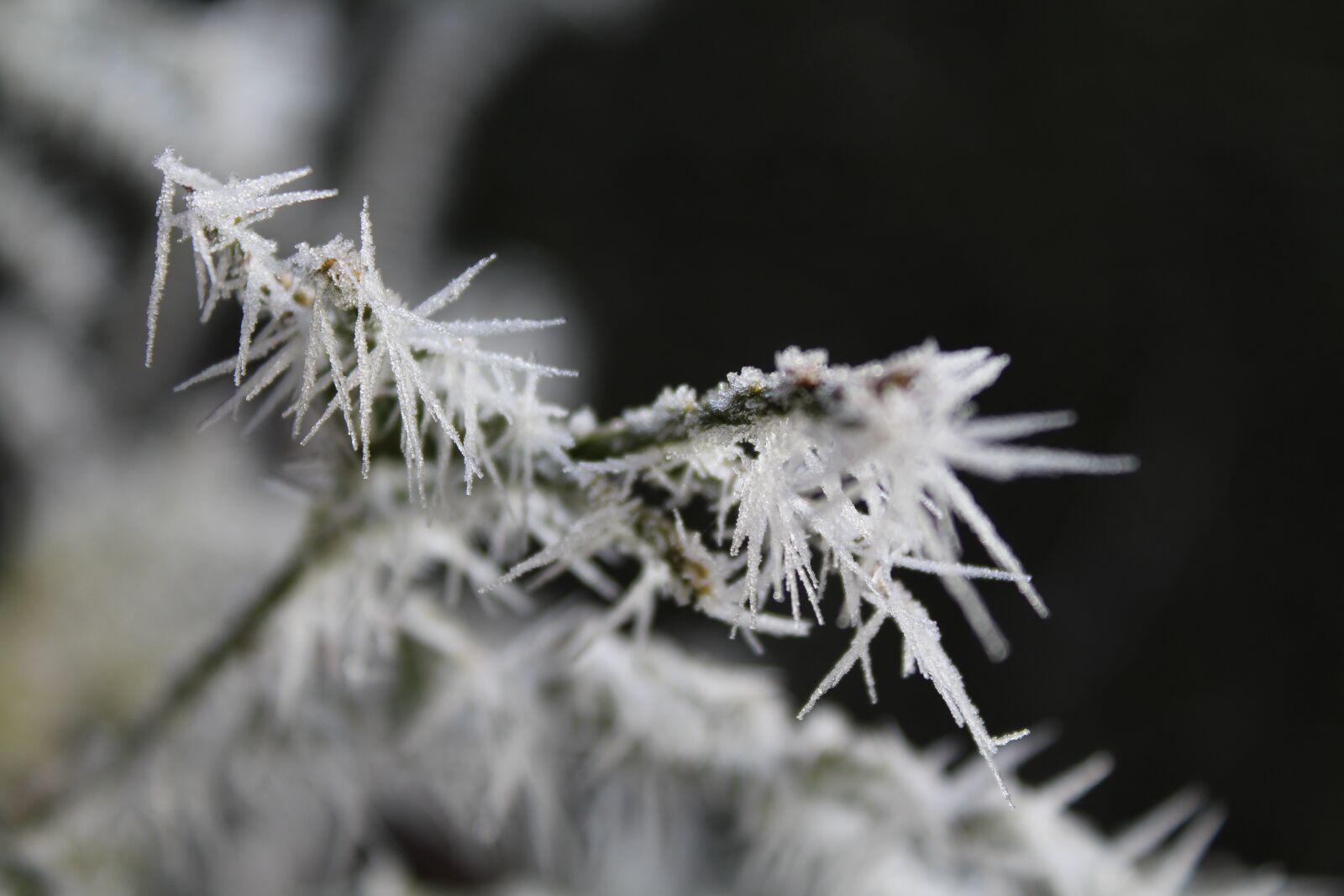 Canon EOS 1200D (EOS Rebel T5 / EOS Kiss X70 / EOS Hi) sample photo. Eiskristalle, nature, winter photography