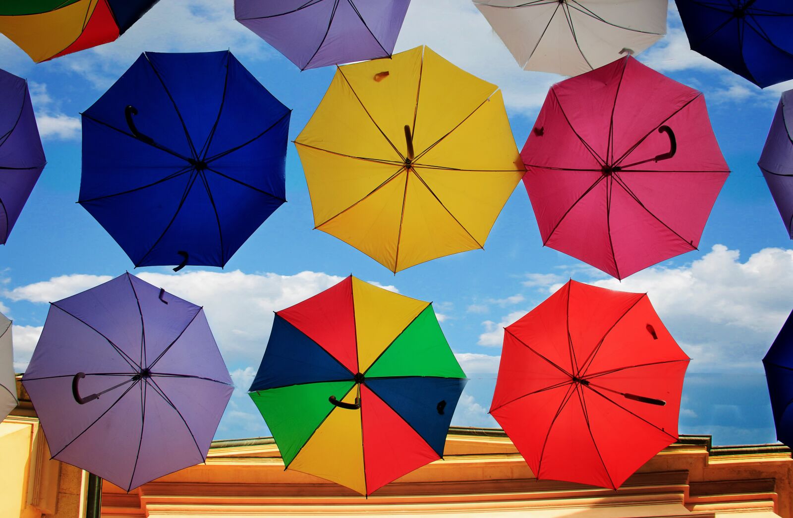 Canon EOS 7D Mark II sample photo. Umbrella, vivid, form photography