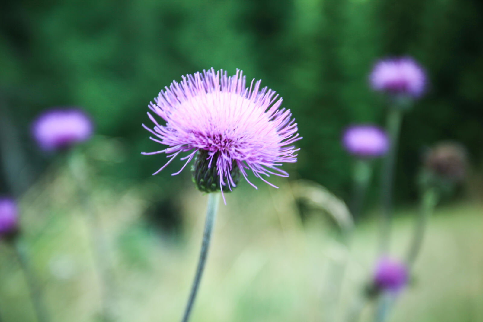 Canon EOS 5D Mark II + Canon EF 16-35mm F2.8L USM sample photo