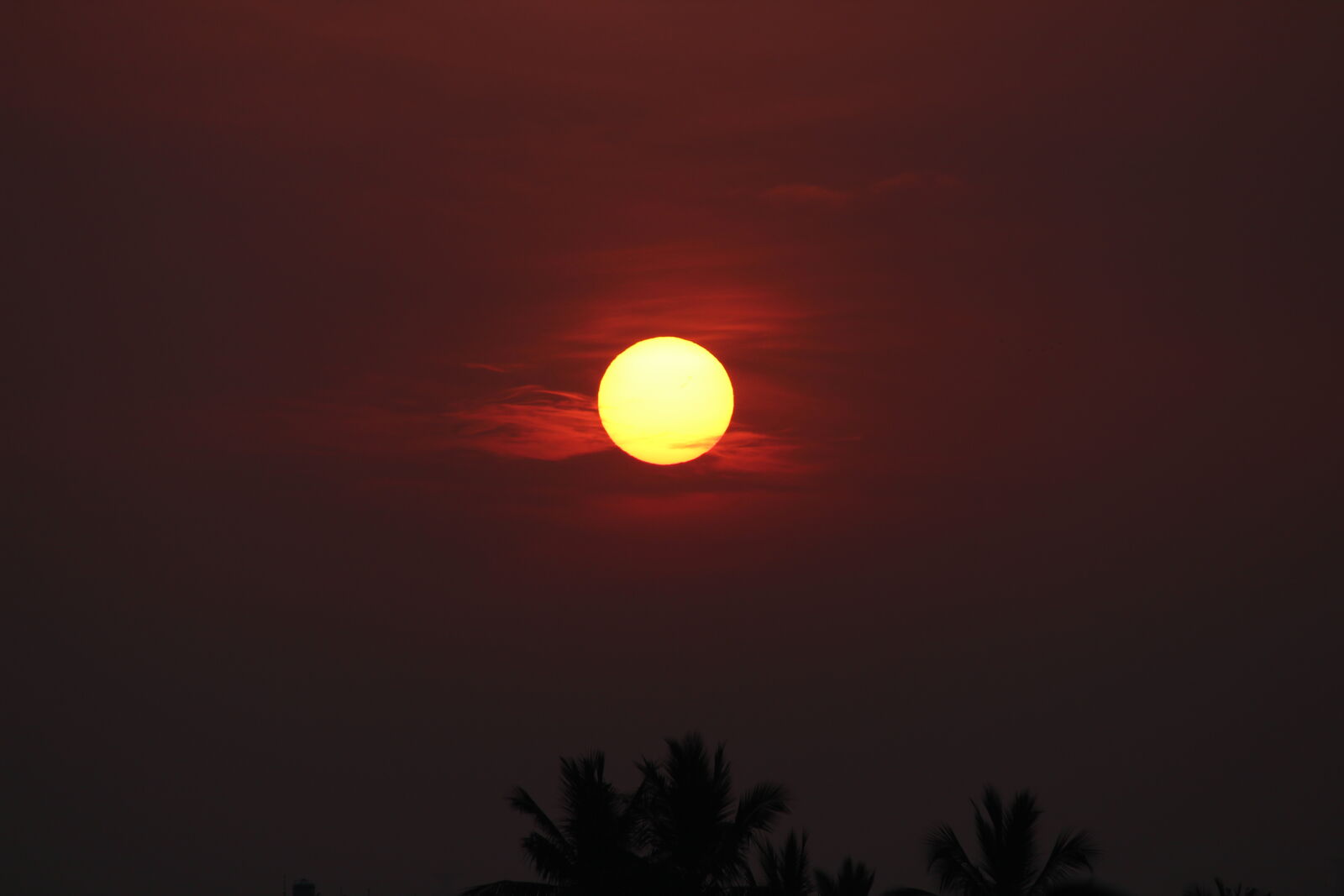 Canon EOS 1300D (EOS Rebel T6 / EOS Kiss X80) sample photo. Early, morning, sun photography