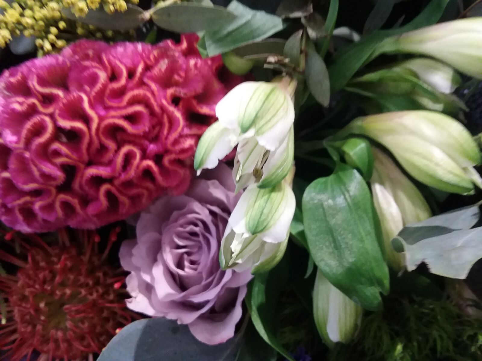 Samsung Galaxy J3(2016) sample photo. Beautiful, flowers photography
