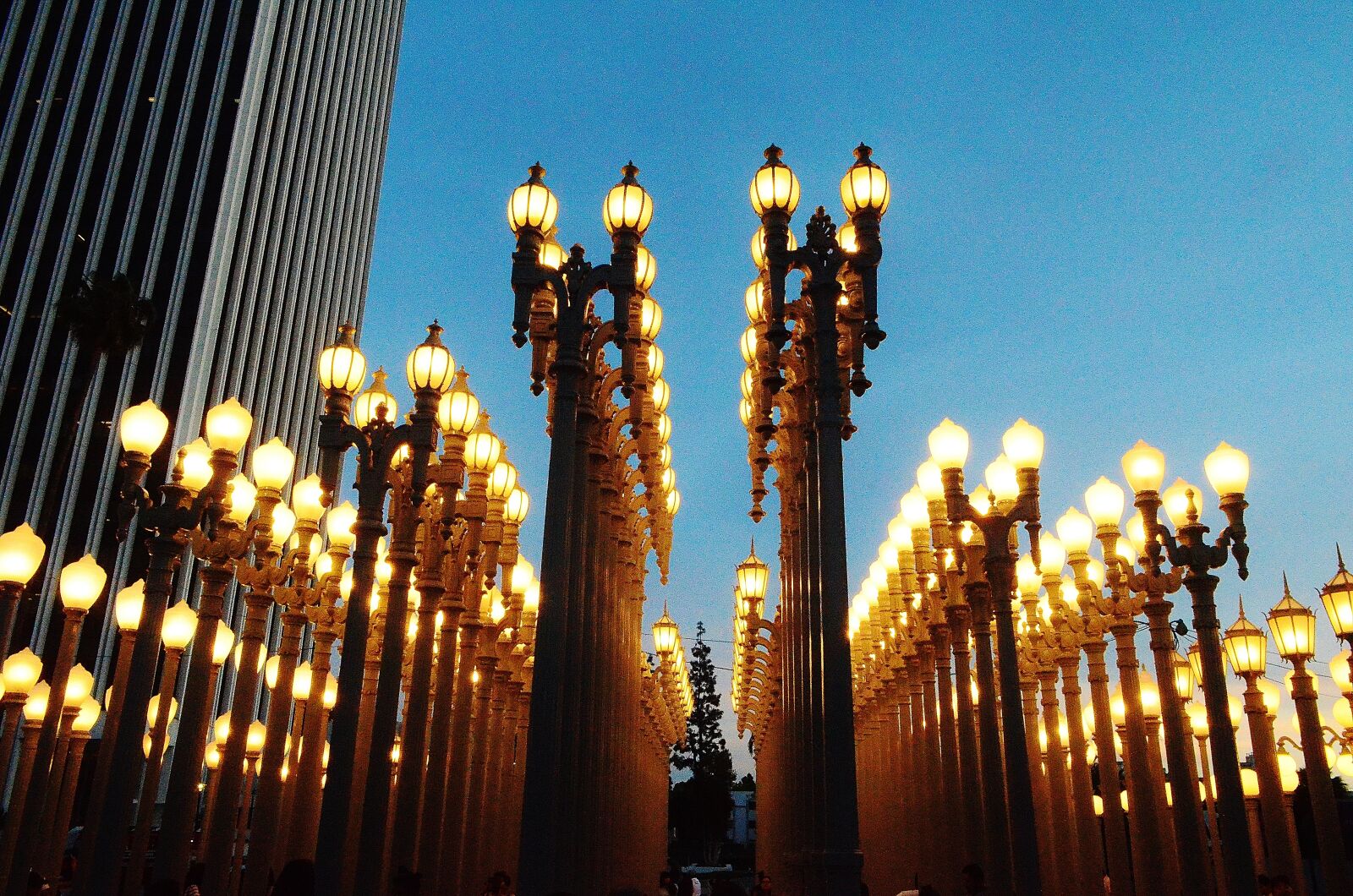 Nikon D5100 sample photo. La, california, usa photography
