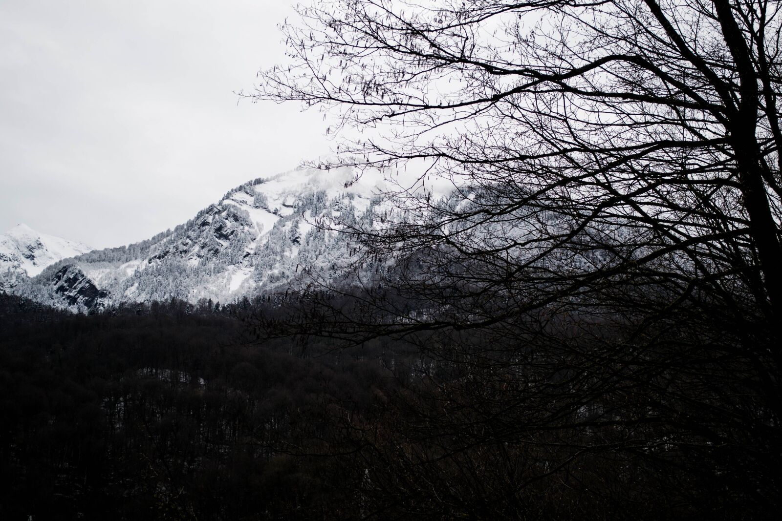 Nikon D3100 sample photo. Mountain, snow, tree photography