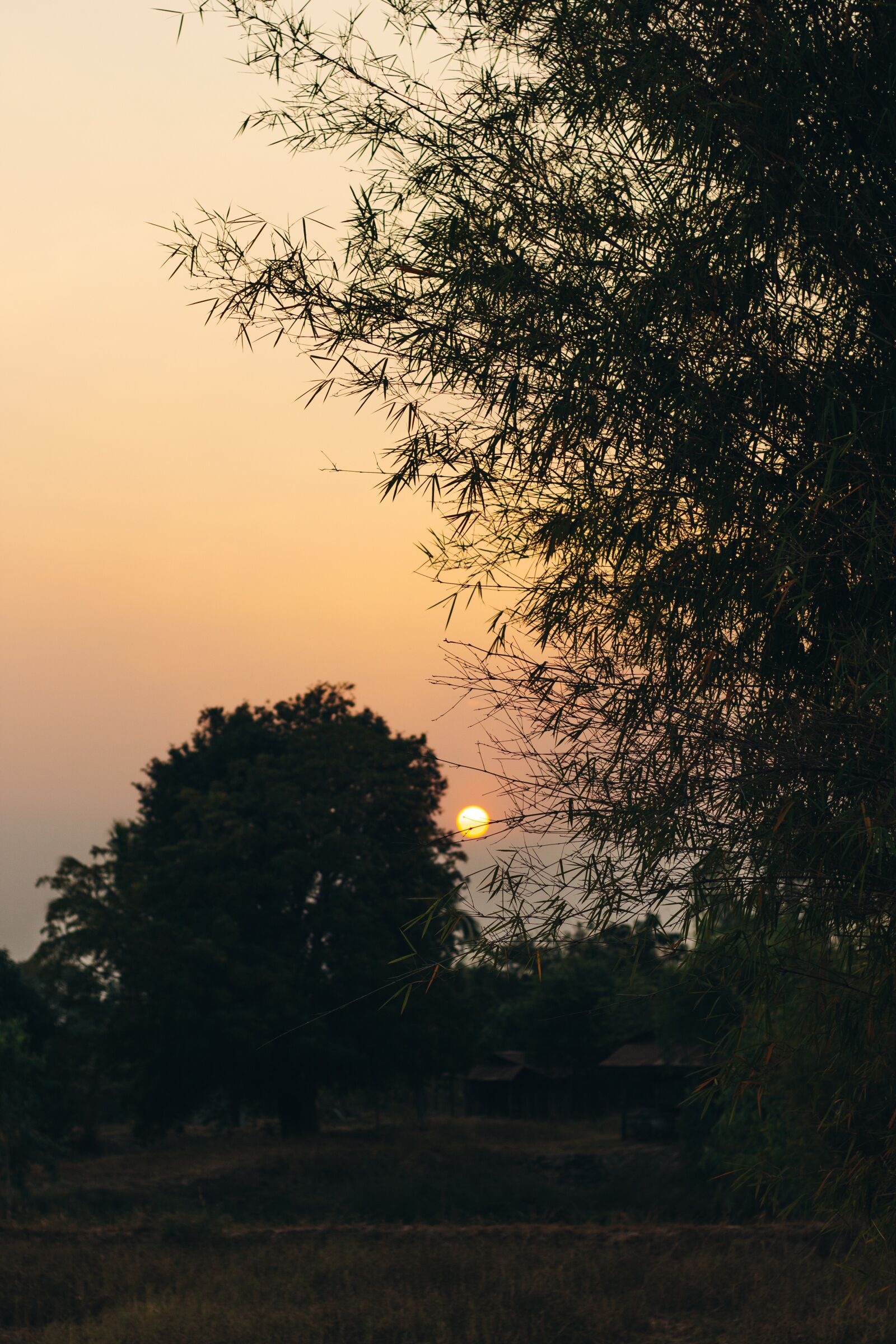 Canon EOS 700D (EOS Rebel T5i / EOS Kiss X7i) + Canon EF 50mm F1.8 STM sample photo. Sunlight, nature, sunrise photography