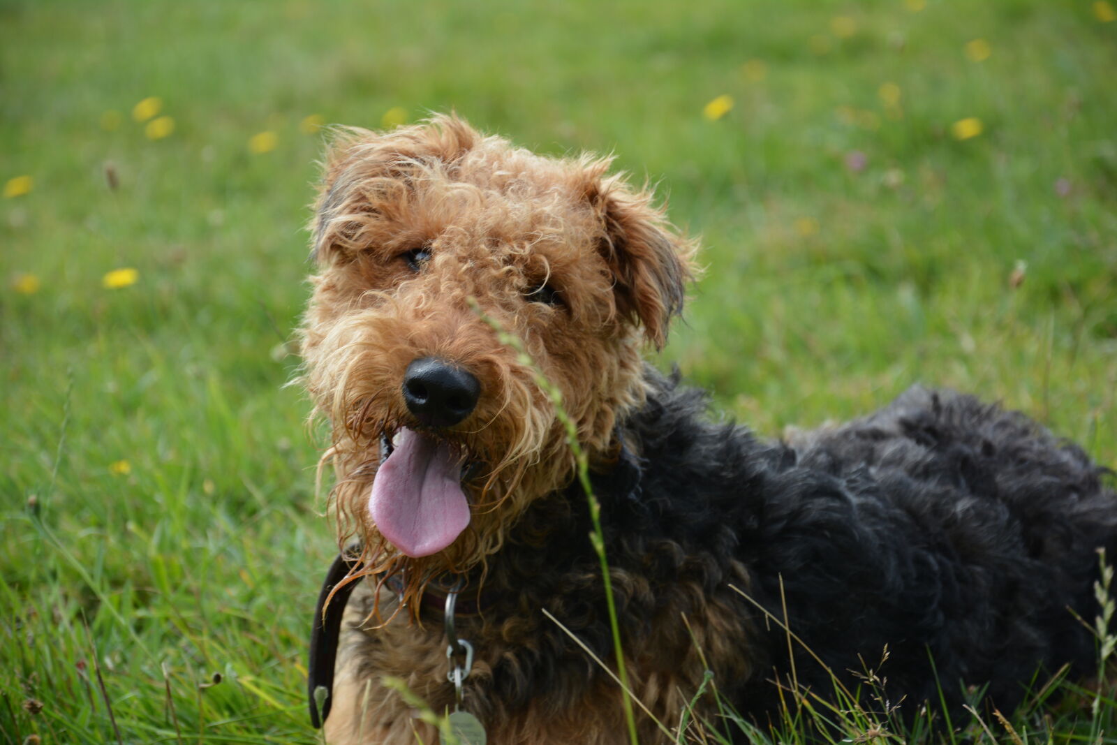 Nikon D7100 sample photo. Pippa photography