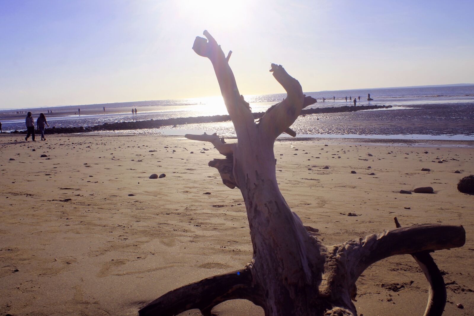 Canon EOS 1100D (EOS Rebel T3 / EOS Kiss X50) sample photo. Indonesian, ntt, kupang photography