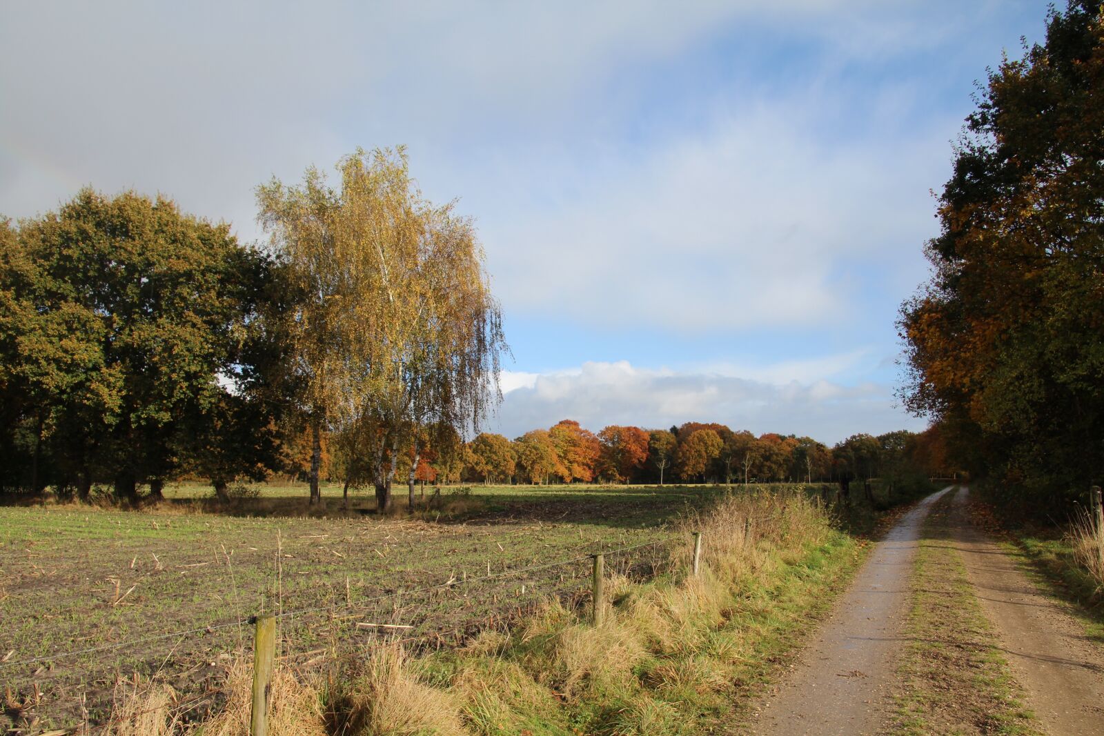 Canon EOS 1200D (EOS Rebel T5 / EOS Kiss X70 / EOS Hi) sample photo. Netherlands, landscape, veluwe photography