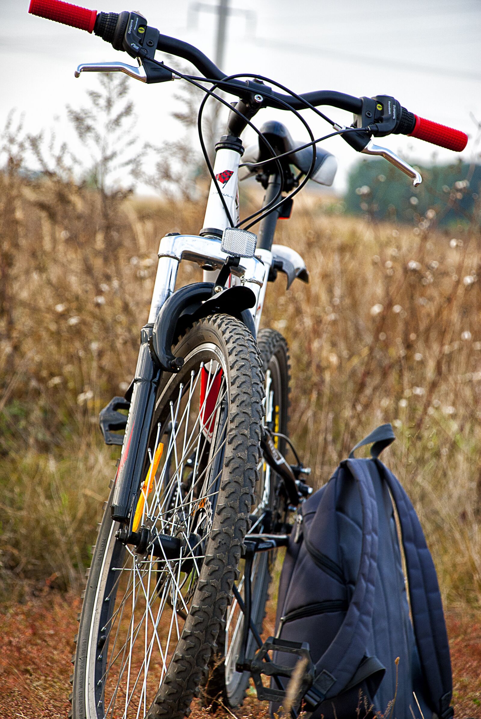 Nikon D60 sample photo. Fahrradtour, straße, weg photography