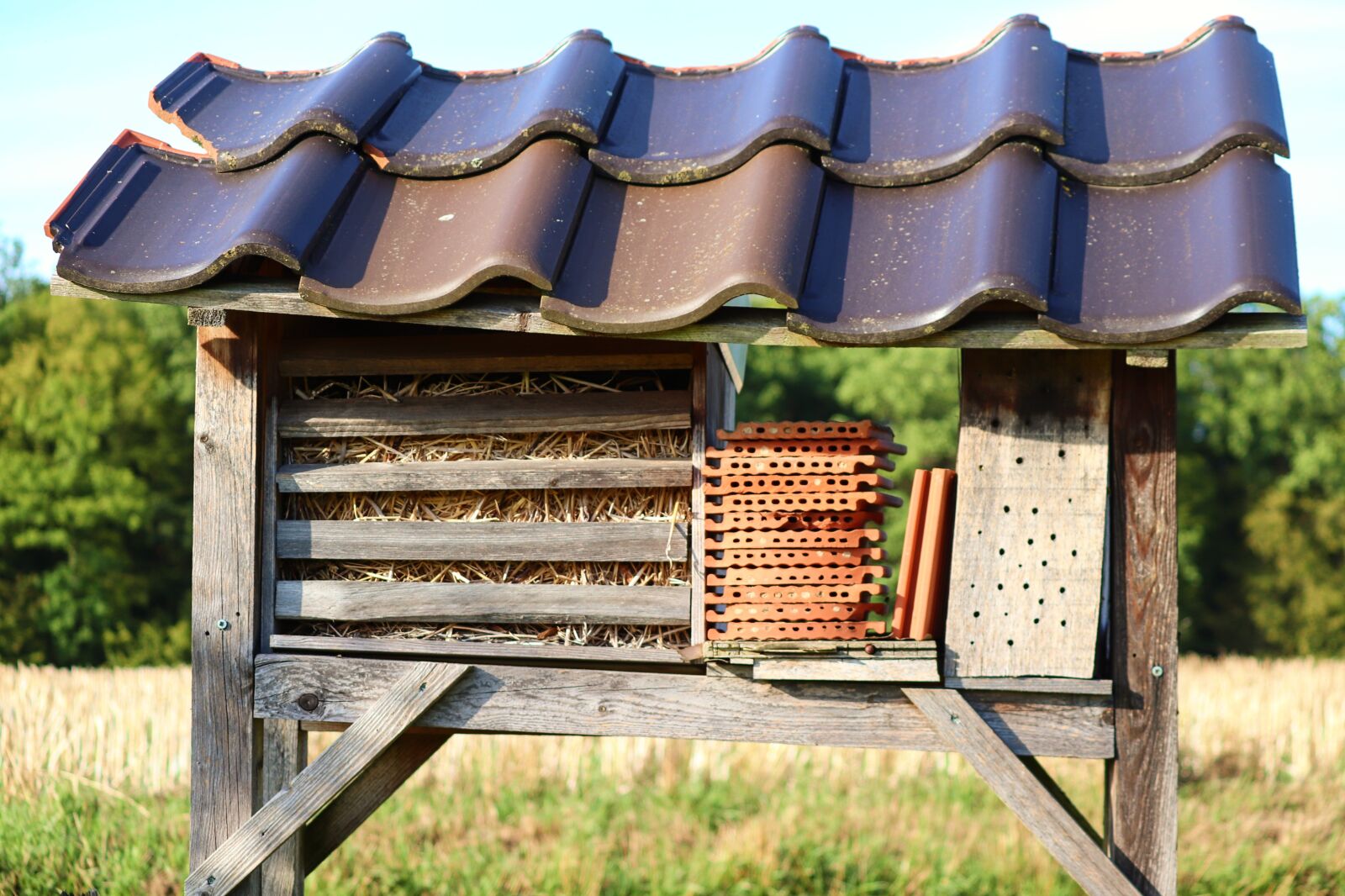 Canon EOS 200D (EOS Rebel SL2 / EOS Kiss X9) sample photo. Insect hotel, wood, shelter photography