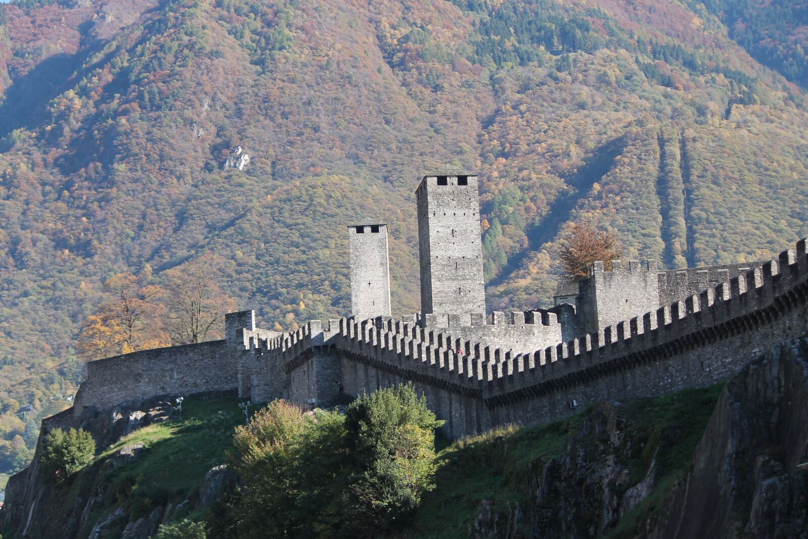 Canon EF-S 55-250mm F4-5.6 IS II sample photo. Bellinzona, castelgrande, switzerland photography