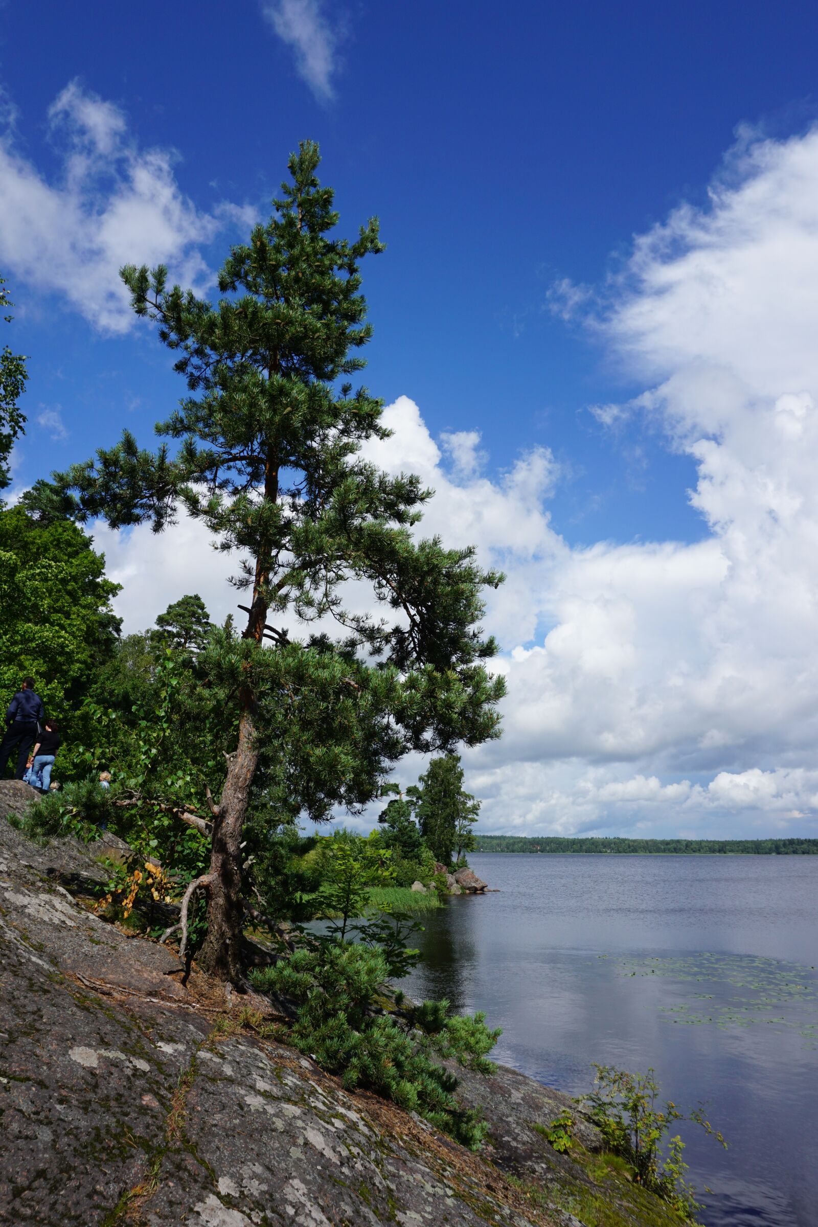 Sony a6000 sample photo. Vyborg, park, mon repos photography