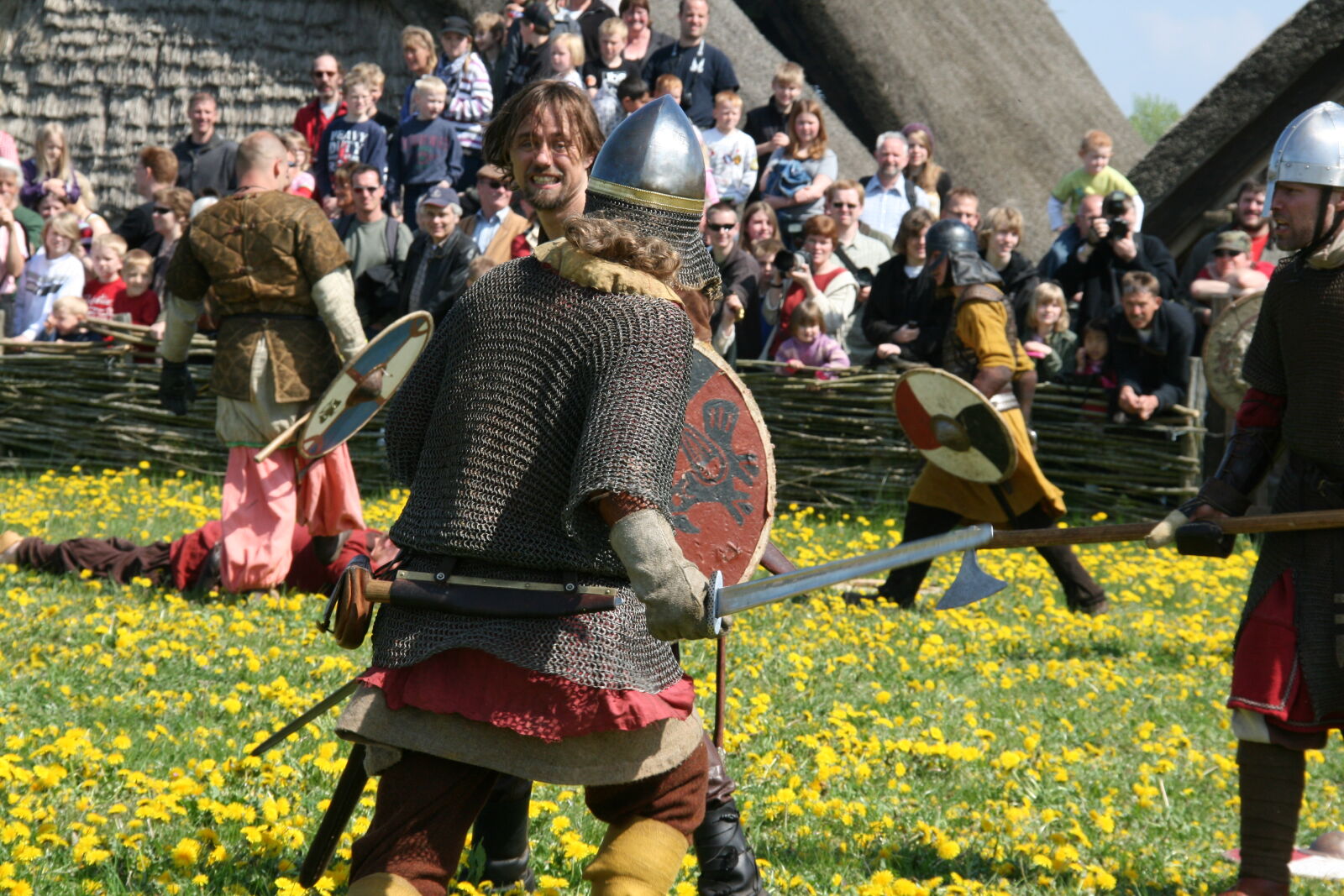 Sigma 18-200mm f/3.5-6.3 DC OS sample photo. Vikings photography