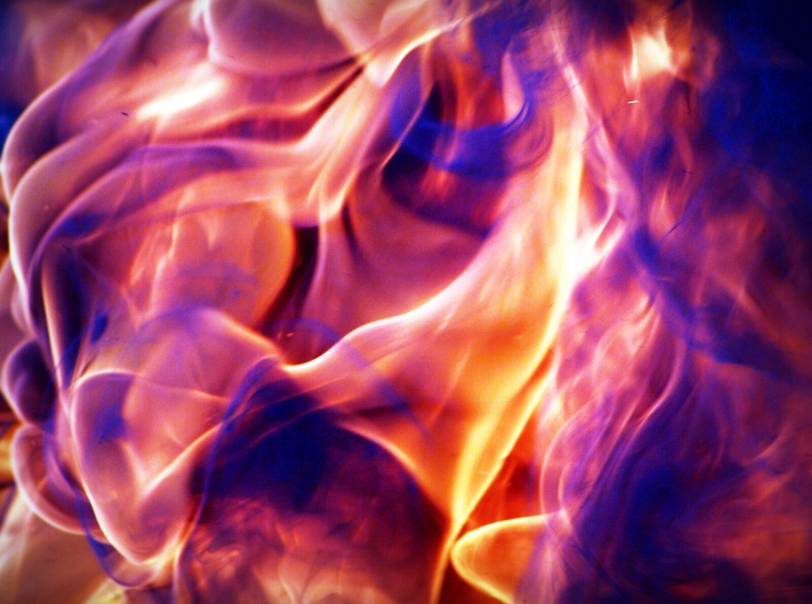 Olympus E-300 (EVOLT E-300) sample photo. Background, beautiful, blaze, blazing photography