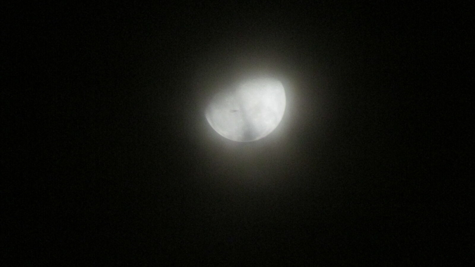 Canon PowerShot SX500 IS sample photo