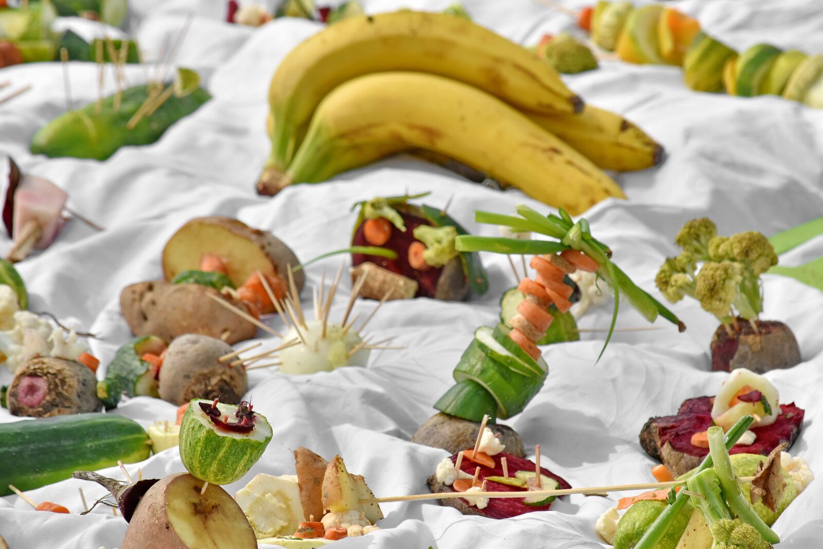 Nikon D5500 sample photo. Creativity, vegetables, food, lunch photography