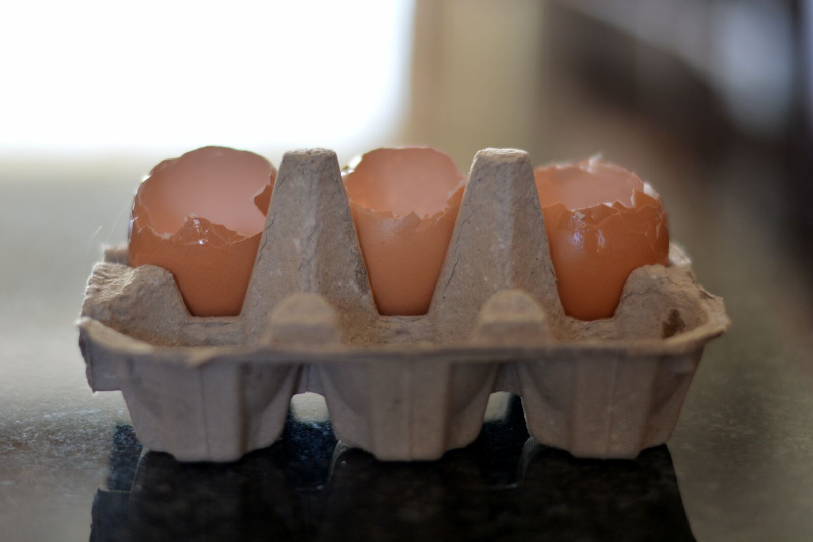 Nikon D5200 sample photo. Egg containers, empty containers photography