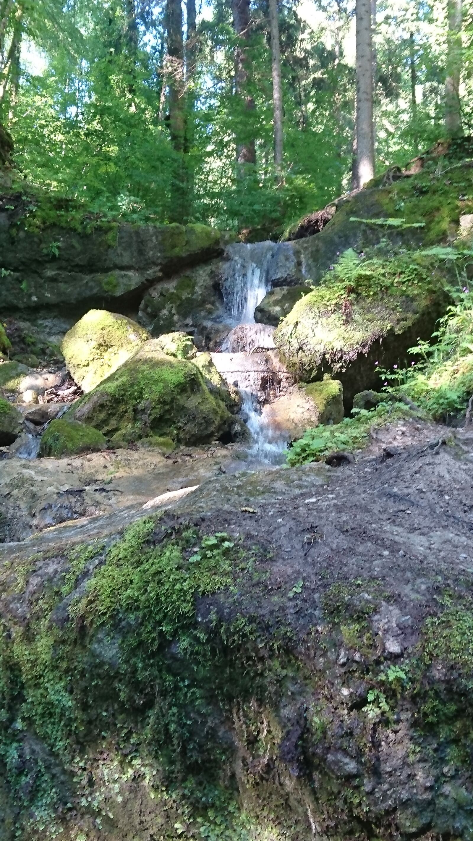 Sony Xperia Z5 Compact sample photo. Waterfall, forest, landscape photography