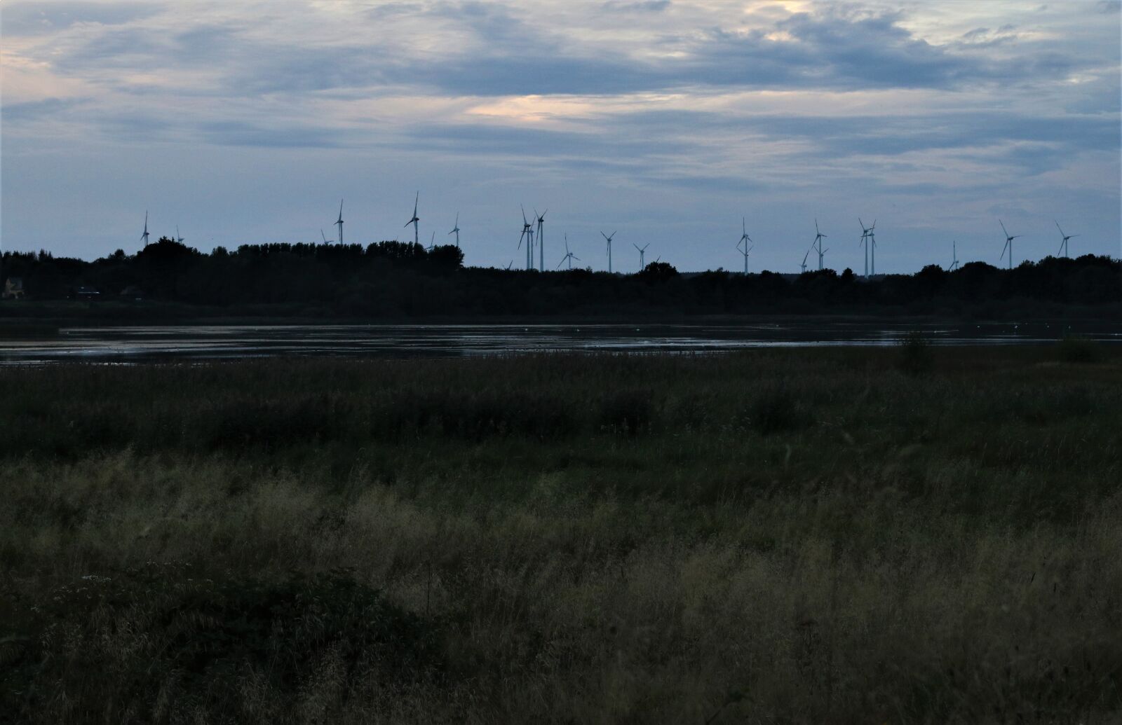 Canon EF 50mm F1.4 USM sample photo. Dreifelder pond, wind turbines photography