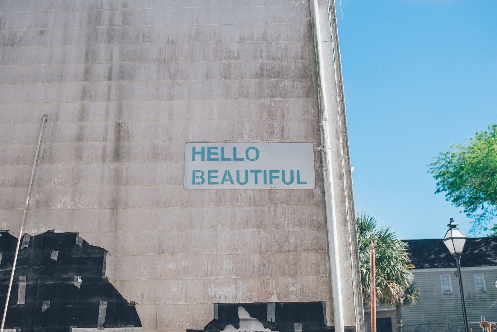 Nikon D610 sample photo. Hello, beautiful, sign photography