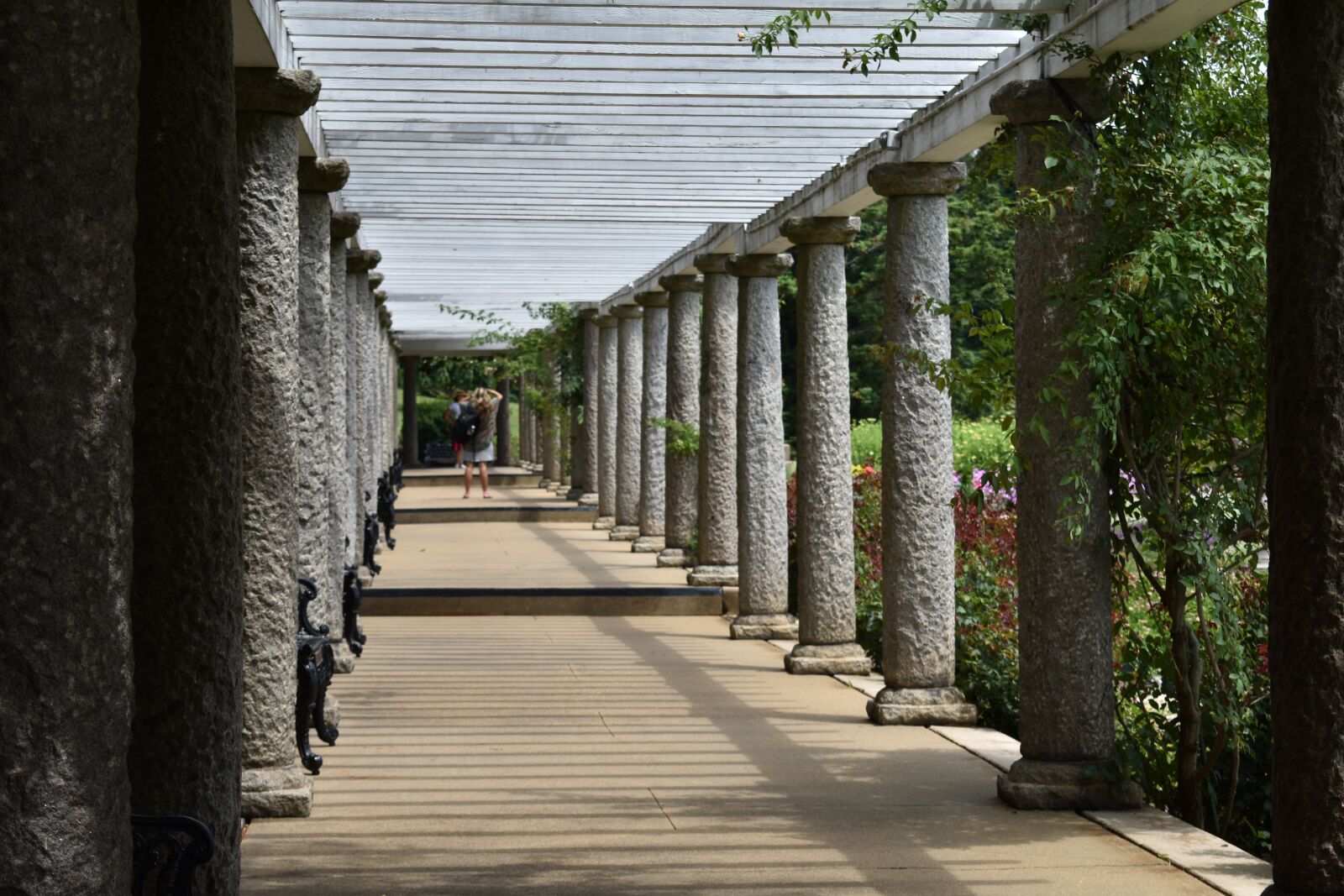 Nikon D3400 sample photo. Columns, walkway, pathway photography
