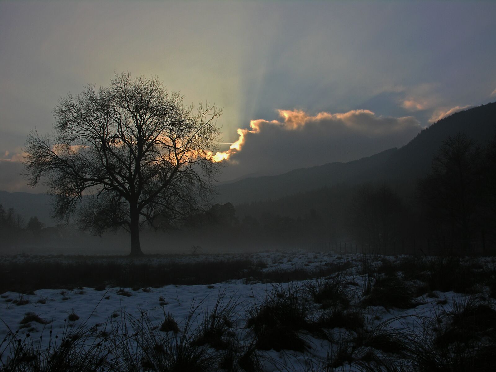 Nikon E8800 sample photo. Sunrise, scotland, sky photography