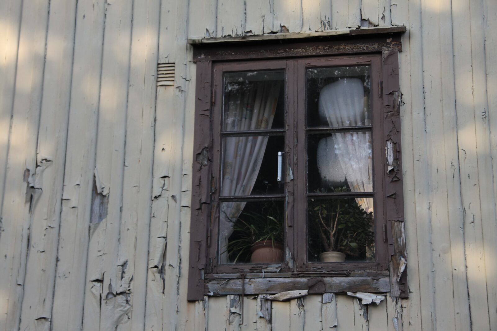 Canon EOS 50D sample photo. Window, antique, color photography