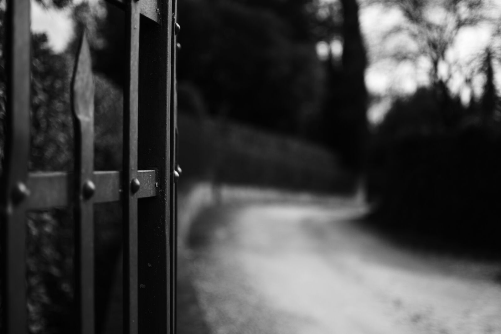 Nikon D3100 sample photo. Road, gate, white black photography