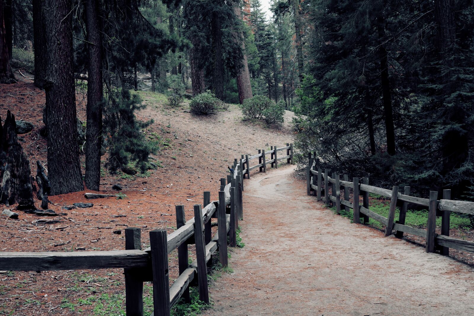 Canon EOS 750D (EOS Rebel T6i / EOS Kiss X8i) sample photo. Nature, outdoor, adventure photography