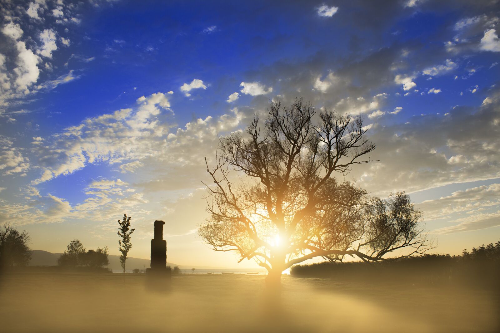 Canon EOS 600D (Rebel EOS T3i / EOS Kiss X5) sample photo. Landscape, tree, fog photography