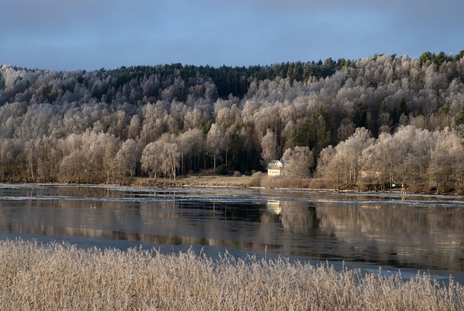 Nikon D80 sample photo. River, winter, reed photography