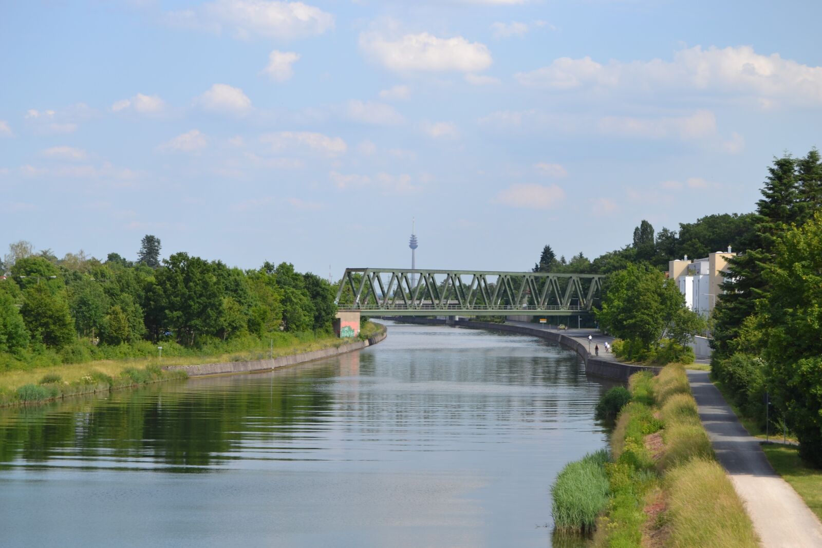 Nikon D3100 sample photo. Waters, river, tree photography