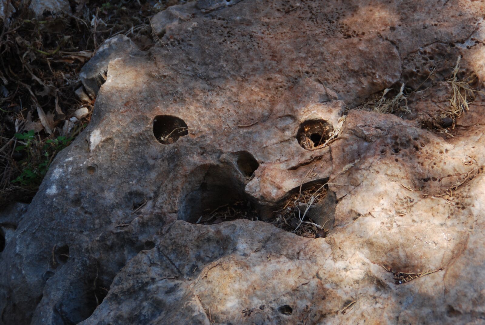 Nikon D60 sample photo. Rock, stone, face photography