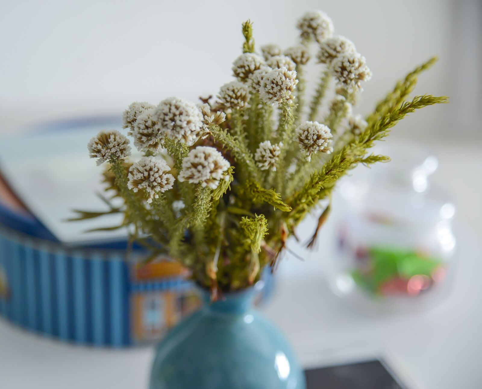 Nikon D800 sample photo. Dried flowers, beautiful, background photography