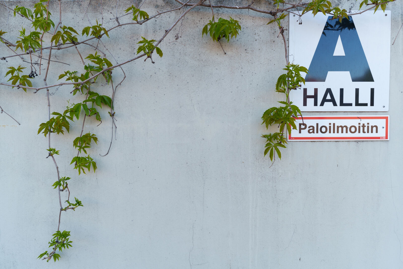 Sony a7R V sample photo. A hall sign photography