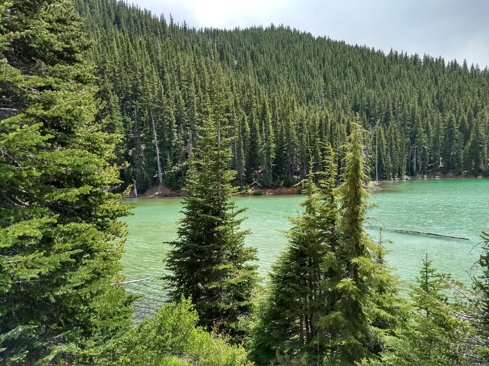 Motorola Moto G (5) Plus sample photo. Oregon, water, landscape photography