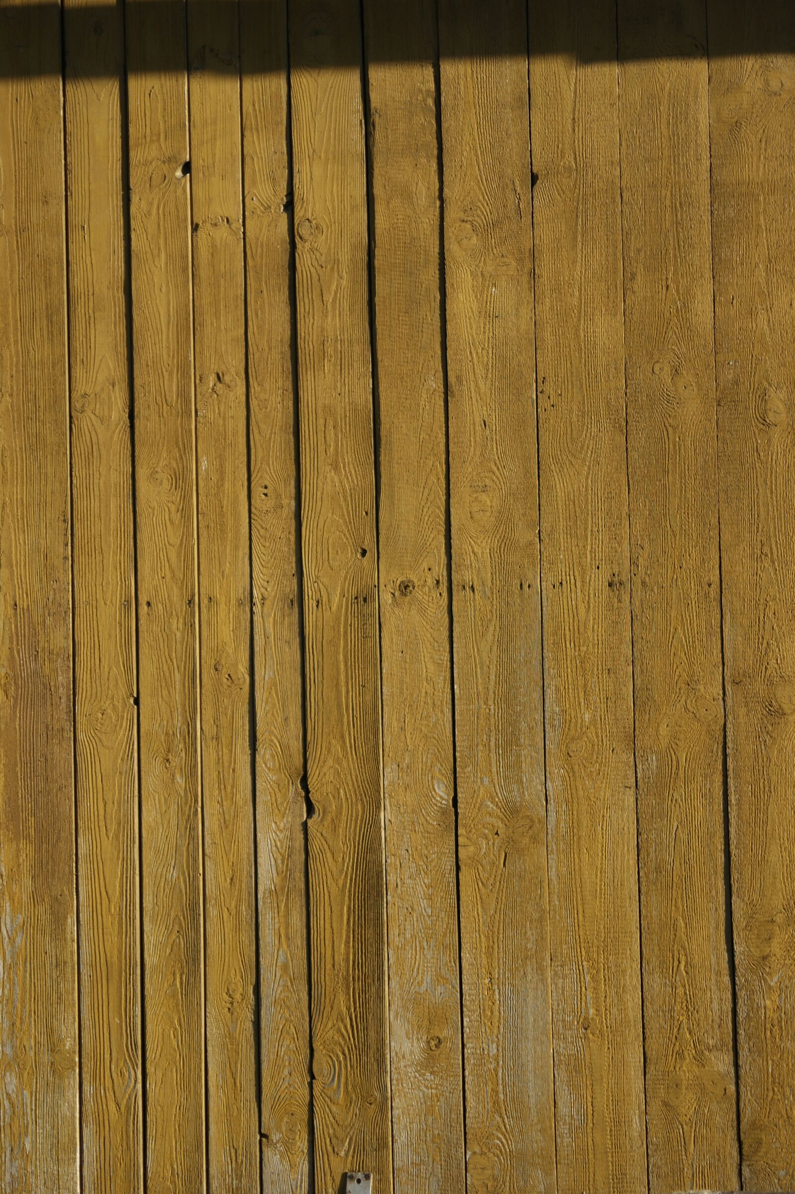 Sony Alpha DSLR-A290 sample photo. Wood, old boards, board photography