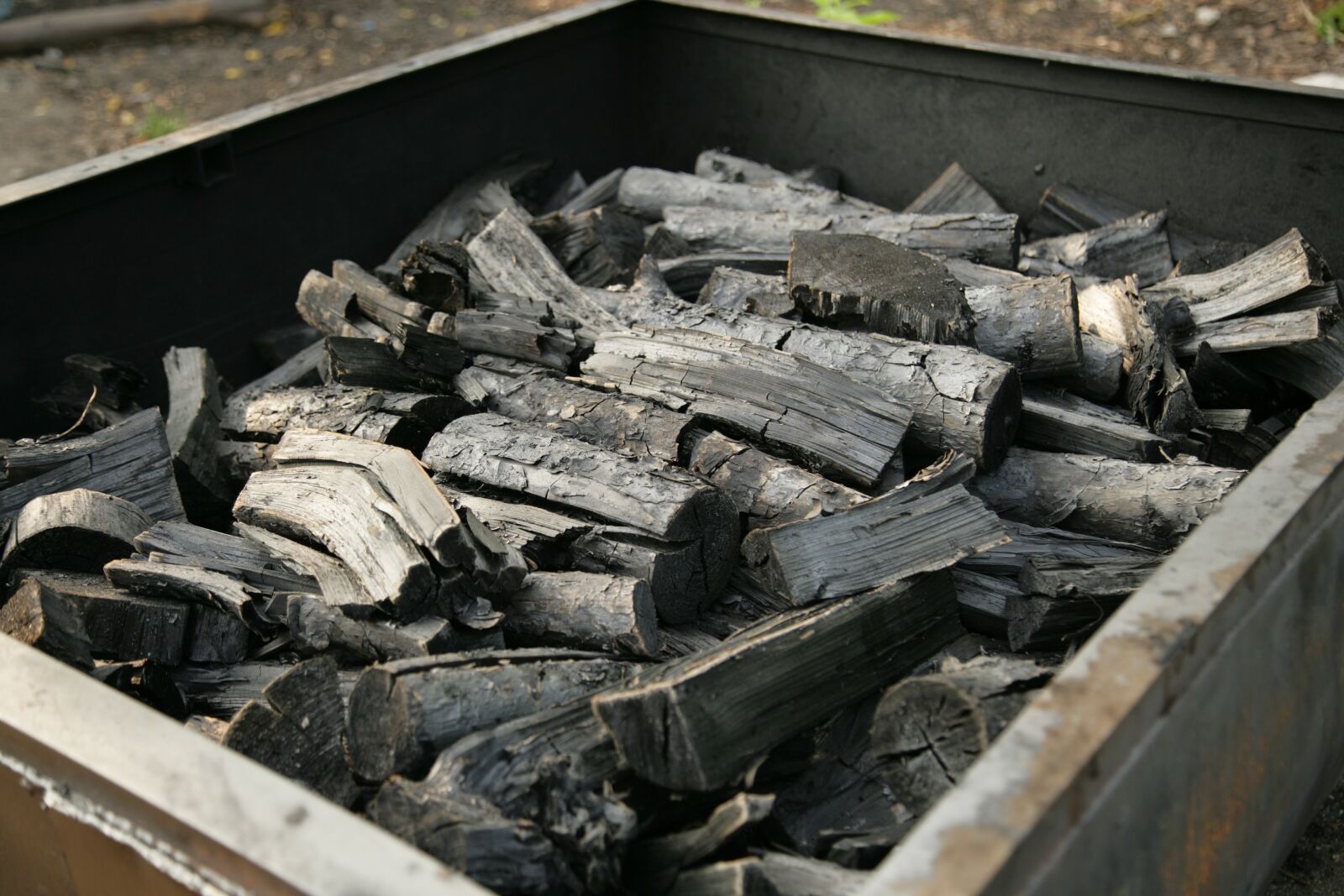 Canon EOS-1Ds Mark II sample photo. Coal, firewood, black photography