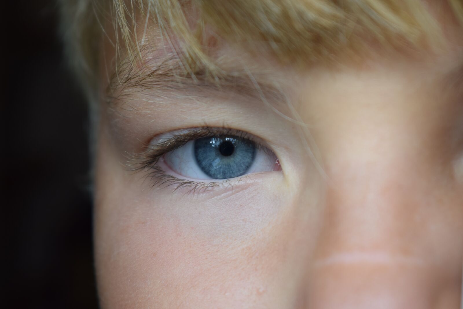 Nikon D3300 sample photo. Eye, blue, person photography