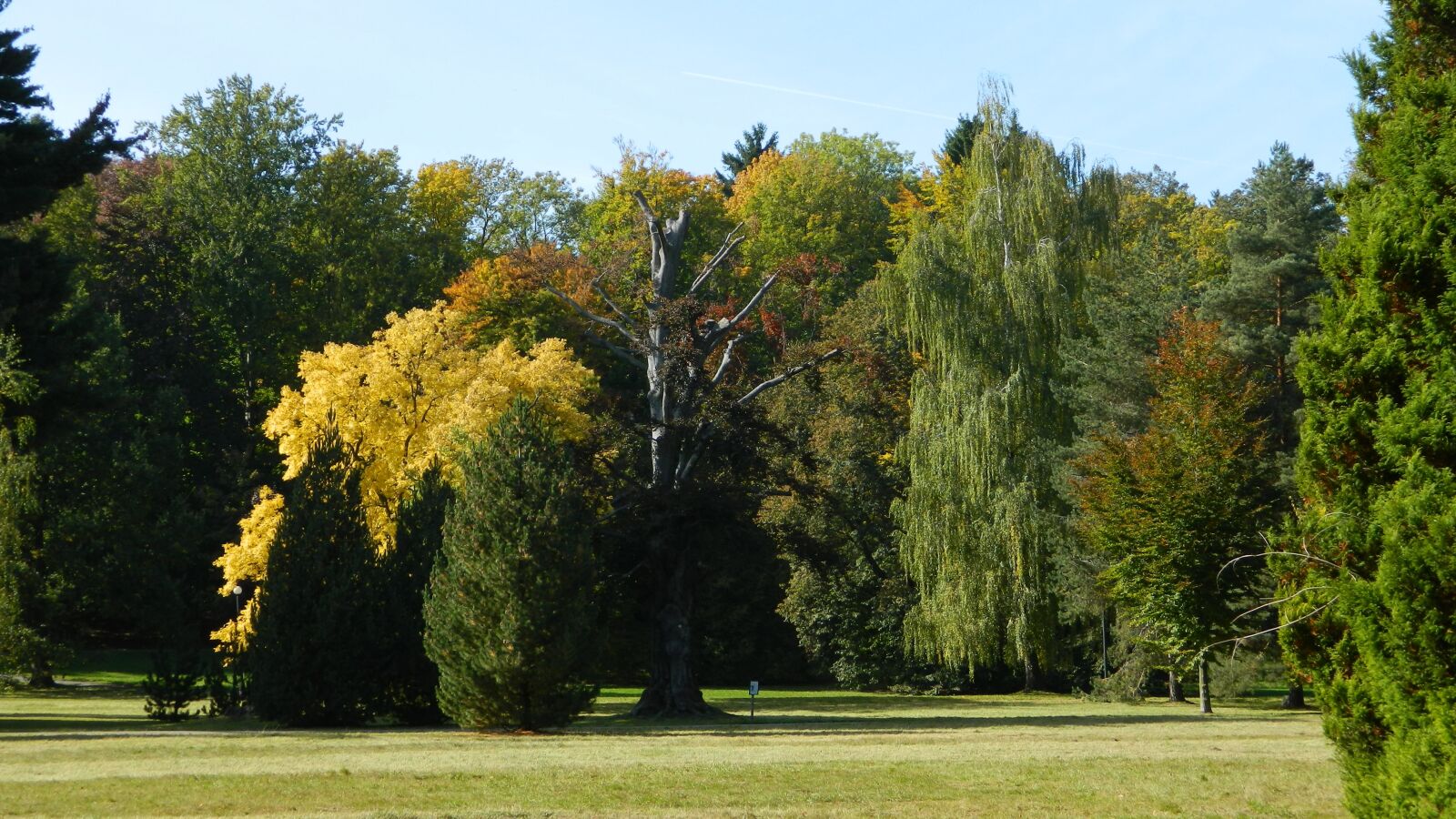 Nikon Coolpix L120 sample photo. Vrchlabi castle, park, autumn photography