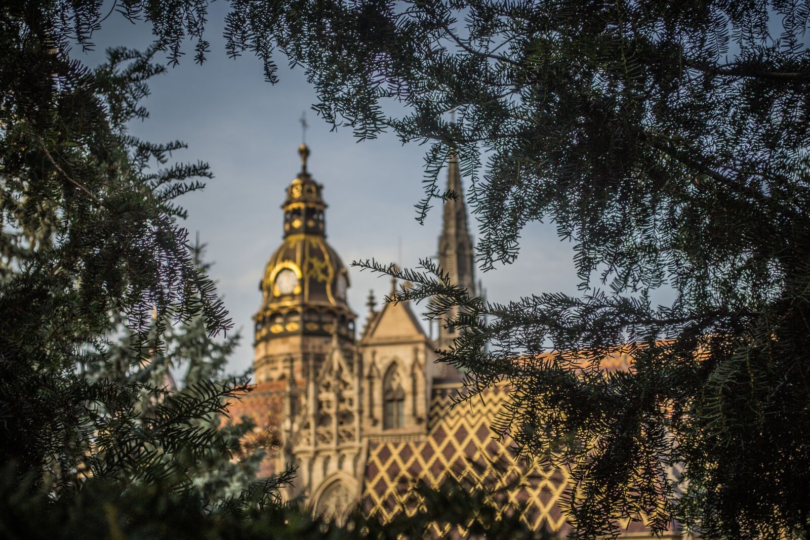 Nikon D3100 sample photo. Scene, vista, minster photography