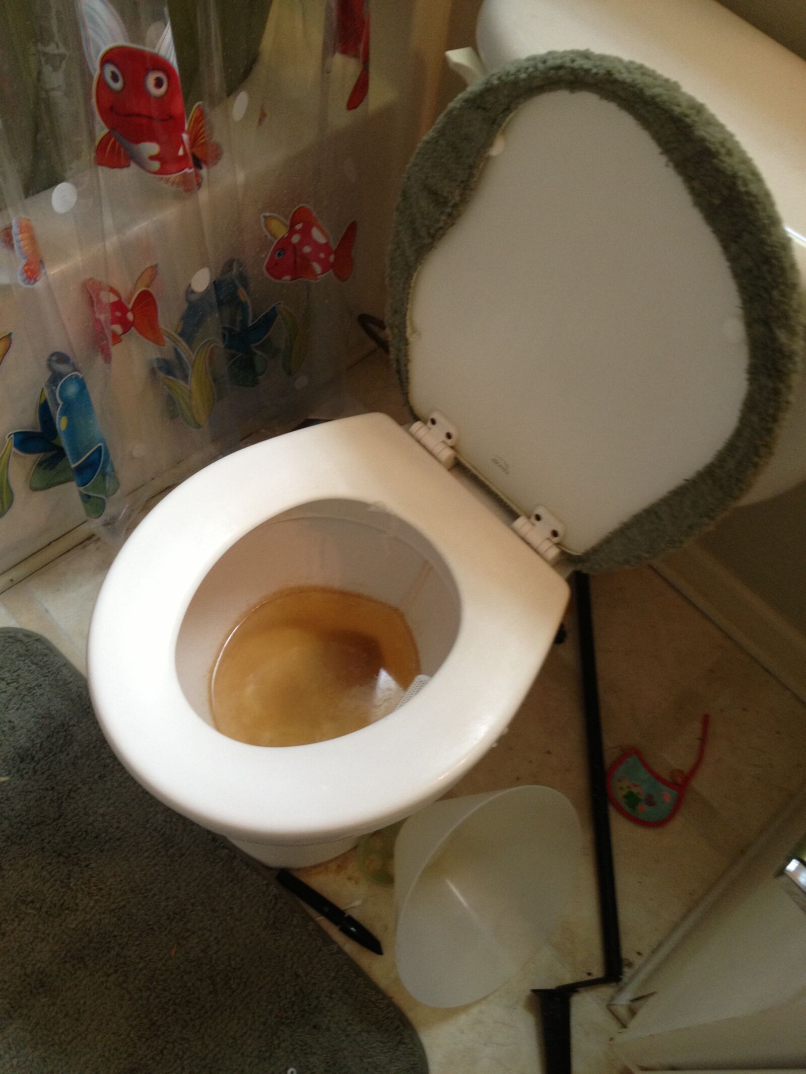 Apple iPhone 4S sample photo. Dirty toilet, bathroom, toilet photography