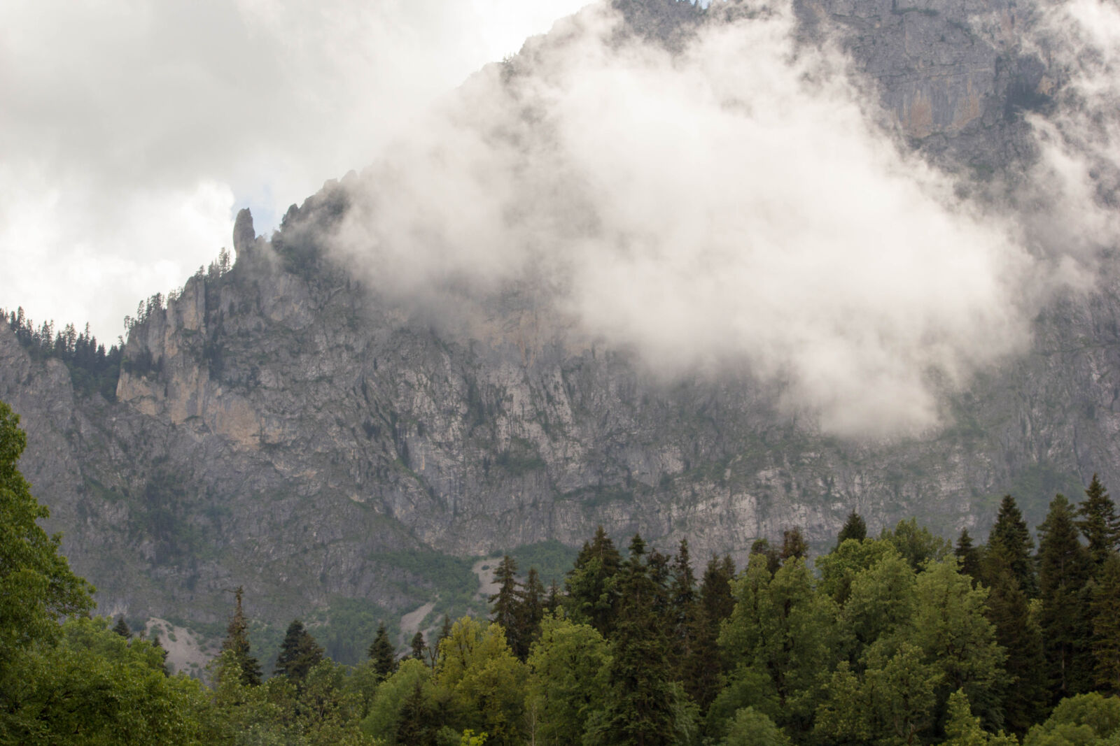 Canon EOS 550D (EOS Rebel T2i / EOS Kiss X4) sample photo. Cloud, mountain, mountain, forest photography